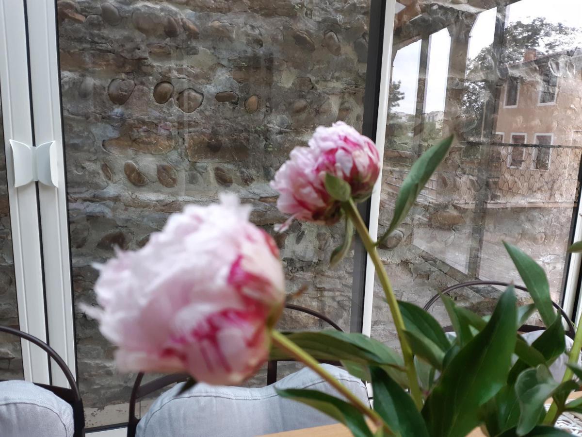 B&B J'Irais Dormir A Lyon Zewnętrze zdjęcie